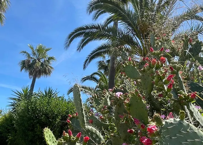 Casa Atlantida Golfemar